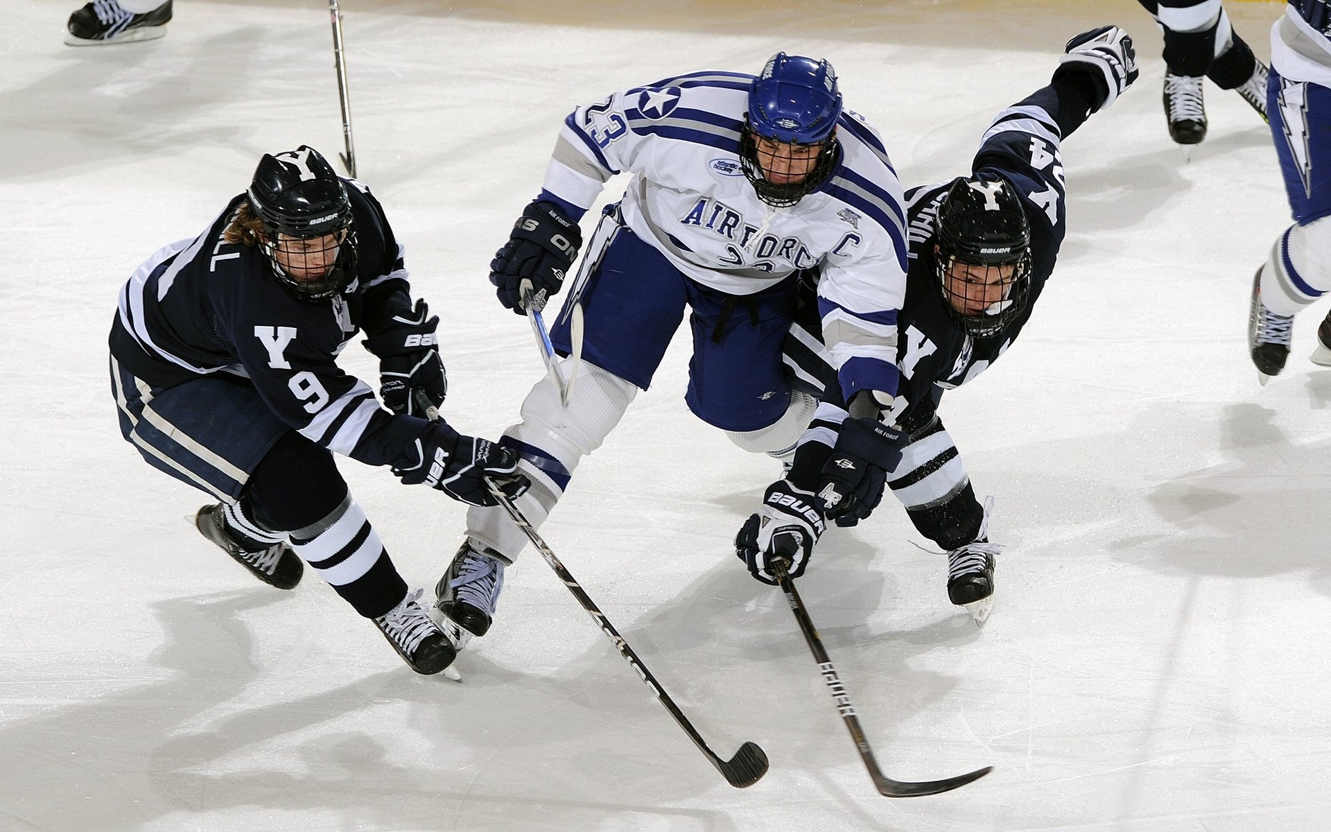 综合格斗最新战报！荷兰队迎战意大利队，防守反击奏效，球队笑到最后